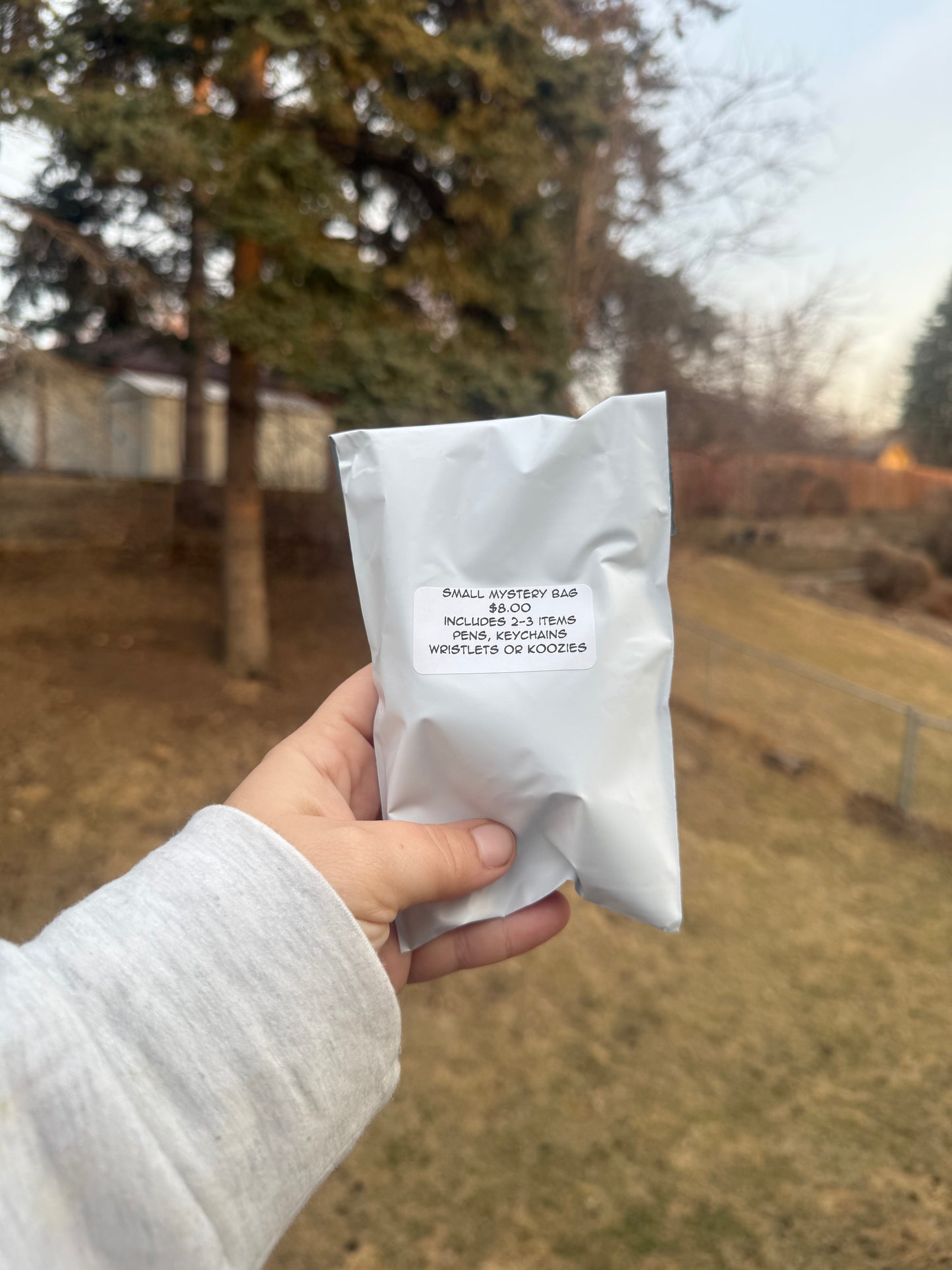 Small mystery bag
