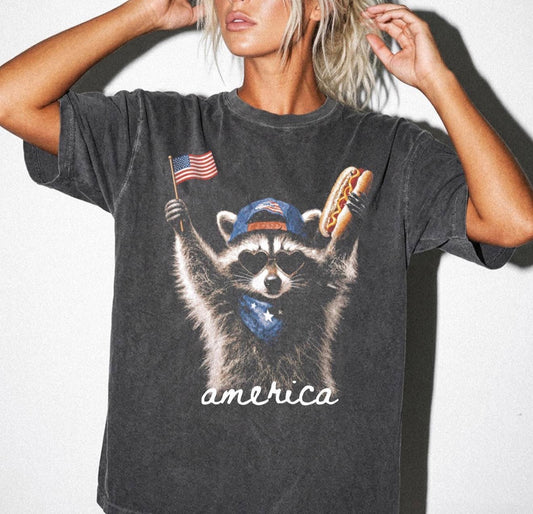 Raccoon America!!